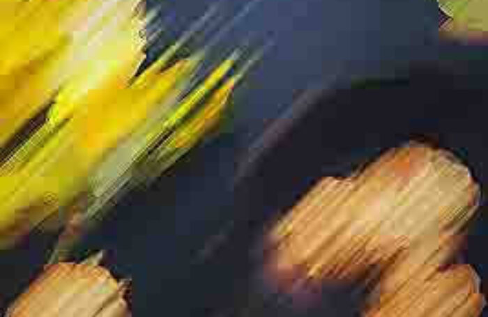 photo-4