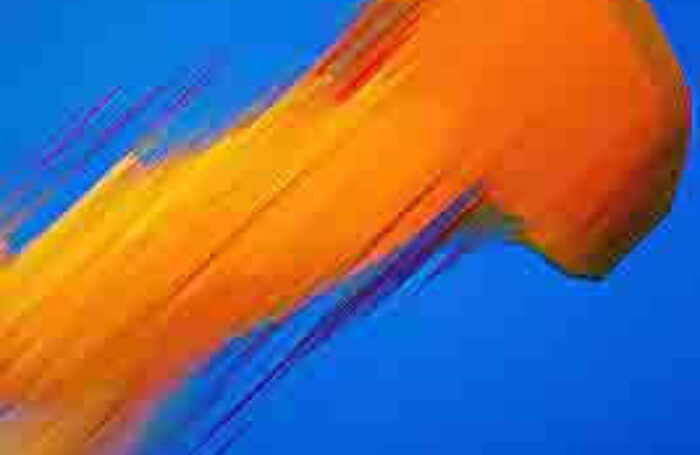 photo-7